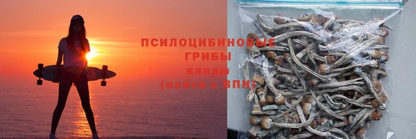 прущий лед Осташков