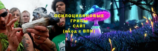 дмт Осинники