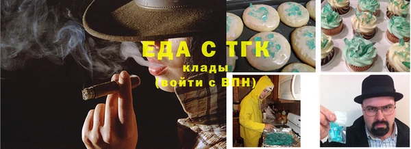 дмт Осинники